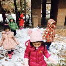 산새들어린이집 이미지