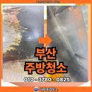 대명종합가스 | 부산주방청소 후기 고객만족으로 증명