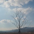 기찻길느린풍경 이미지