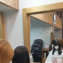 살롱드디체 네이버블로그