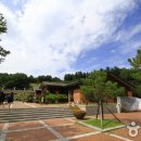 평창차이나 이미지