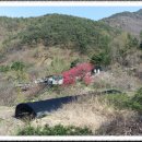 생각나무자연학교 이미지