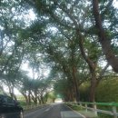 하늘대로5 이미지