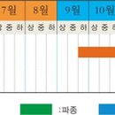 리이크 Daum카페