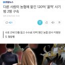 951006 이미지