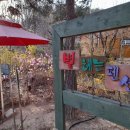 개나리펜션 이미지