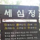 탈골암