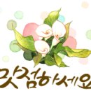 쿠킹수제돈까스 이미지