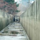 인디즈 이미지