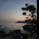 카페윤 | 부산 기장 <카페윤> 후기｜바다 산책로와 이어진 감성 바다뷰 카페