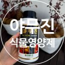 종합농산물 | 야무진 농산물 종합 식물영양제 블루베리 나무 사용후기