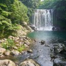 천제연로 이미지