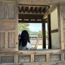 전주여행 ; 베테랑칼국수, 왱이콩나물국밥, 경기전, 우리놀이터마루달