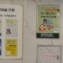 이뮤셀의원 네이버블로그
