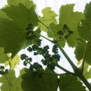 봉기농장 이미지