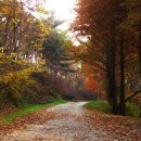 푸르른날 이미지