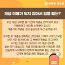 마이엠