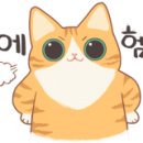 청주리퍼브아울렛 이미지