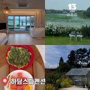 하담스파펜션 | 태안 하담스파펜션 프라이빗 한 독채 감성숙소 추천