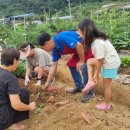 동남농장 이미지