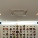 포포즈반려동물장례식장 - 김포시 애기봉로 262 | 포포즈반려동물장례식장