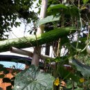 농암농장 이미지