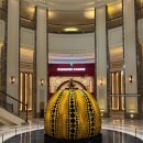 Red휘트니스 | 인천 파라다이스시티 호텔 프리미어 디럭스더블 숙박 후기