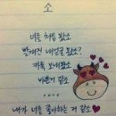 재미로