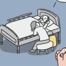 겨자씨 이미지