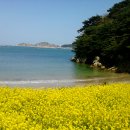 배낭기미