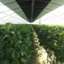 고북농장 이미지