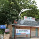 순천만 거차뻘배체험장 이미지