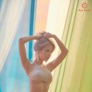 솔라 이미지