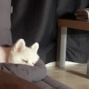 아우어패밀리 이미지