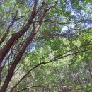 여원치 마애불 이미지