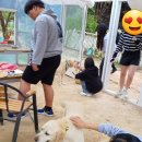 청학소풍 이미지