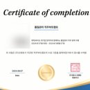 코멘토 제약/바이오 품질관리 직무부트캠프 수강 후기