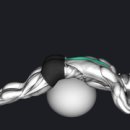 Back Gym(백짐) 이미지