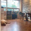 도담 손 안마원 이미지