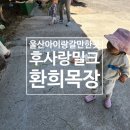후사랑밀크(환희목장) 이미지