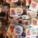 차차펫살롱 이미지