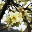 김해건설공업고등학교 이미지