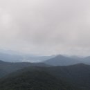 도림목장 Daum카페