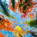 그 해 가을 이미지