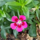 드림플러스공인중개사사무소 이미지