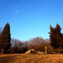 평정공윤호신도비 이미지