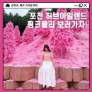 데일리 포천 갈비 | 서울근교 핑크뮬리 포천 허브아일랜드 후 이동갈비 입장료 내돈내산