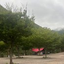 왕피천 하늘담 야영장 이미지