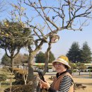 노안초등학교 이미지