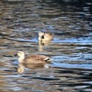 안양천생태이야기관 화장실 이미지